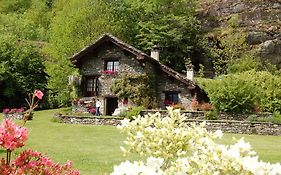 Chalet Le Primule